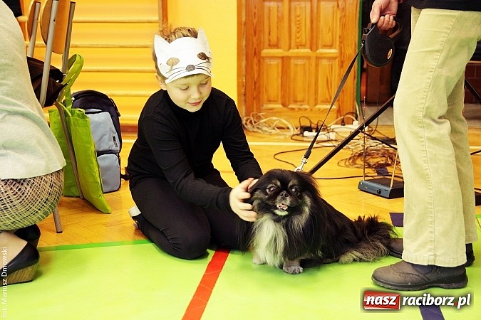 Zdjęcie w galerii na portalu naszraciborz.pl: Uczniowie SP 13 obchodzili Dzień Kota wiadomości z regionu