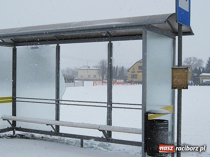 Zdjęcie w galerii na portalu naszraciborz.pl: Bezmyślne zniszczenie przystanków autobusowych w gminie Krzyżanowice wiadomości z regionu