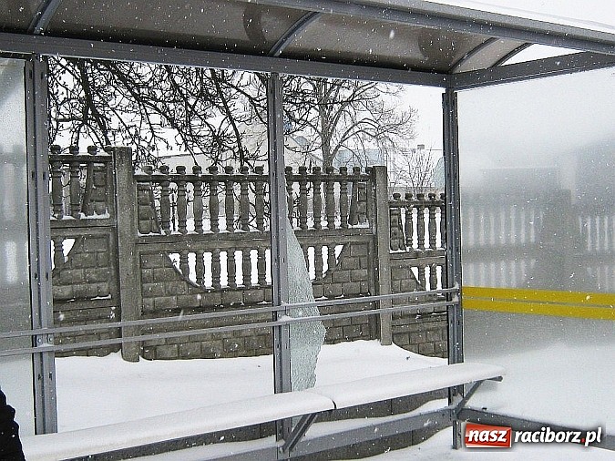 Zdjęcie w galerii na portalu naszraciborz.pl: Bezmyślne zniszczenie przystanków autobusowych w gminie Krzyżanowice wiadomości z regionu