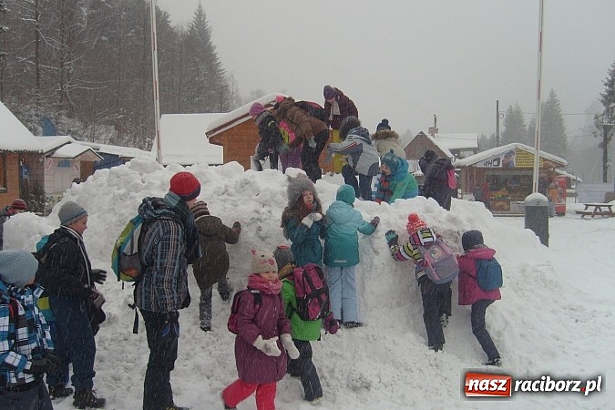 Zdjęcie w galerii na portalu naszraciborz.pl: Ferie z Nowoczesną - podsumowanie drugiego tygodnia wiadomości z regionu
