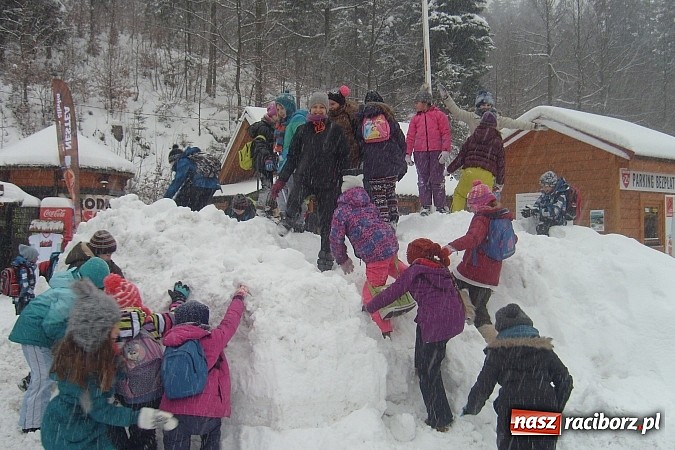 Zdjęcie w galerii na portalu naszraciborz.pl: Ferie z Nowoczesną - podsumowanie drugiego tygodnia wiadomości z regionu