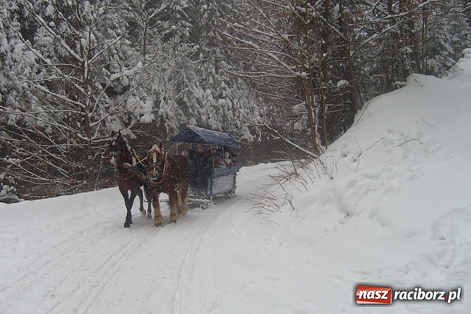 Zdjęcie w galerii na portalu naszraciborz.pl: Ferie z Nowoczesną - podsumowanie drugiego tygodnia wiadomości z regionu