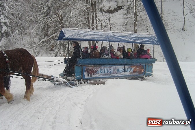 Zdjęcie w galerii na portalu naszraciborz.pl: Ferie z Nowoczesną - podsumowanie drugiego tygodnia wiadomości z regionu