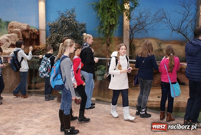 Zdjęcie w galerii na portalu naszraciborz.pl: Ferie z Nowoczesną - podsumowanie drugiego tygodnia wiadomości z regionu