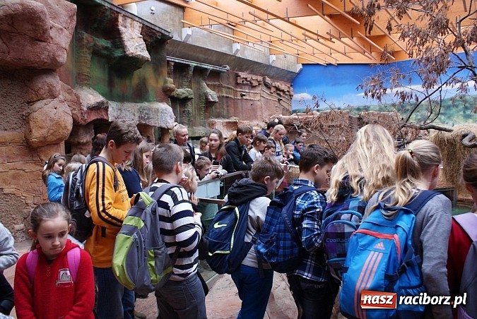 Zdjęcie w galerii na portalu naszraciborz.pl: Ferie z Nowoczesną - podsumowanie drugiego tygodnia wiadomości z regionu