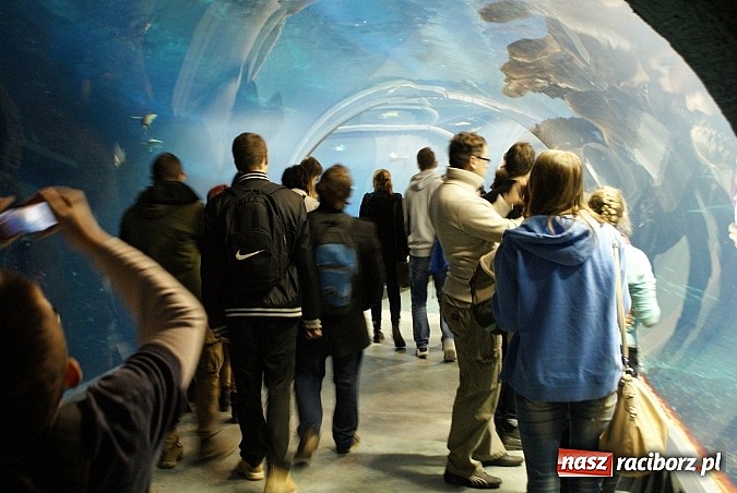 Zdjęcie w galerii na portalu naszraciborz.pl: Ferie z Nowoczesną - podsumowanie drugiego tygodnia wiadomości z regionu