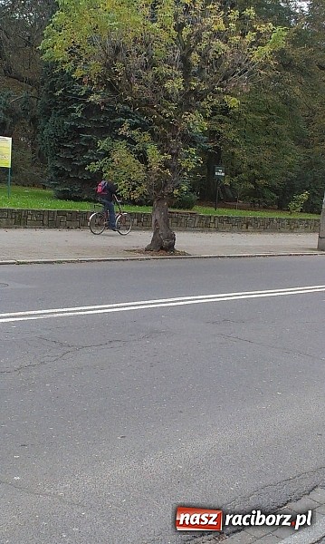 Zdjęcie w galerii na portalu naszraciborz.pl: Komendancie, co Pan na to? Czytelnik kolejny raz pyta o rowerzystów wiadomości z regionu