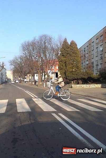 Zdjęcie w galerii na portalu naszraciborz.pl: Komendancie, co Pan na to? Czytelnik kolejny raz pyta o rowerzystów wiadomości z regionu