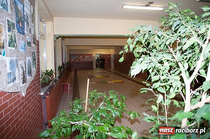 Zdjęcie w galerii na portalu naszraciborz.pl: Dzień Otwartych Drzwi w Szkole Podstawowej  nr 18  wiadomości z regionu