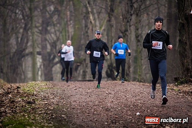 Zdjęcie w galerii na portalu naszraciborz.pl: Ponad dwustu uczestników wystartowało w IV Biegu Twardziela w lesie Obora wiadomości z regionu