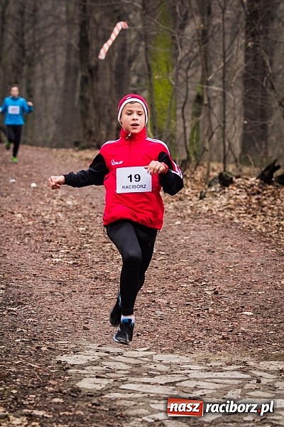 Zdjęcie w galerii na portalu naszraciborz.pl: Ponad dwustu uczestników wystartowało w IV Biegu Twardziela w lesie Obora wiadomości z regionu