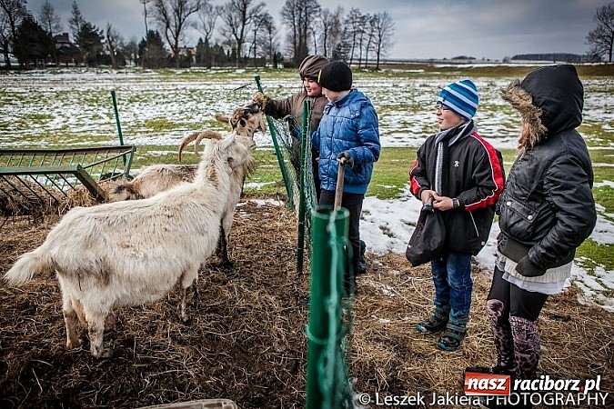 Zdjęcie w galerii na portalu naszraciborz.pl: Młodzi mieszkańcy gminy Krzanowice poznają świat fotografii wiadomości z regionu