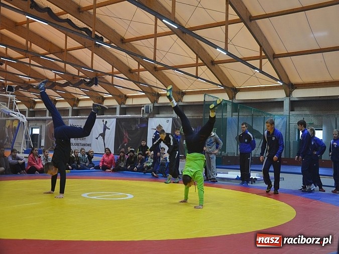 Zdjęcie w galerii na portalu naszraciborz.pl: Pokaz zapaśniczy i lekkoatletyczny w nowej hali SMS-u  wiadomości z regionu