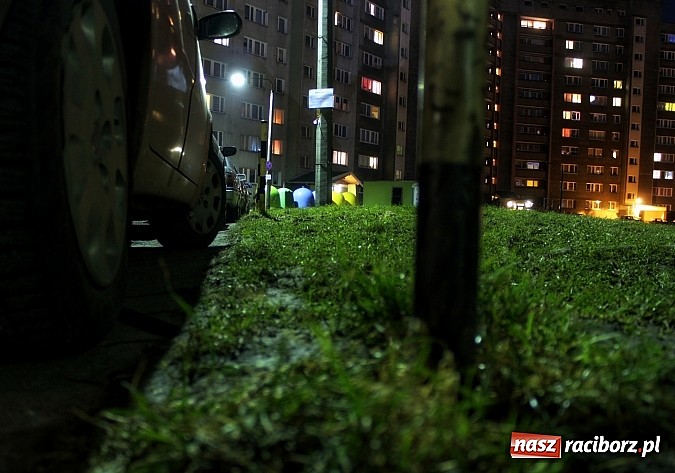 Zdjęcie w galerii na portalu naszraciborz.pl: Katowicka - nie dotyczy placu zabaw  wiadomości z regionu