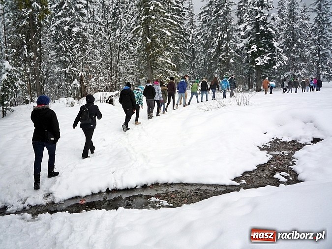 Zdjęcie w galerii na portalu naszraciborz.pl: Obóz narciarski dla gimnazjalistów z gminy Krzyżanowice  wiadomości z regionu