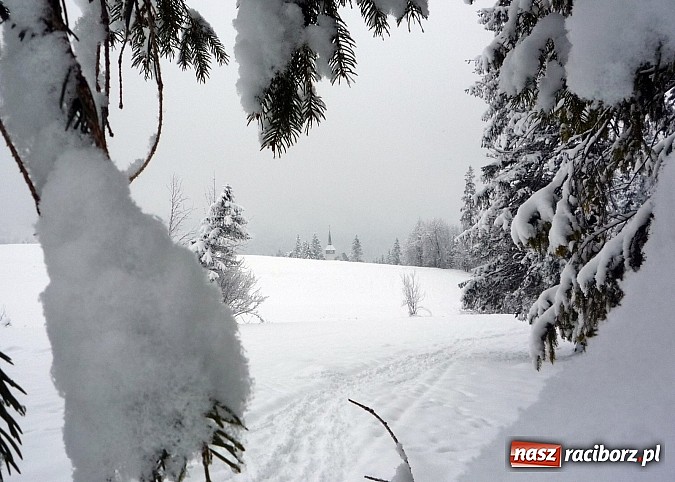 Zdjęcie w galerii na portalu naszraciborz.pl: Obóz narciarski dla gimnazjalistów z gminy Krzyżanowice  wiadomości z regionu