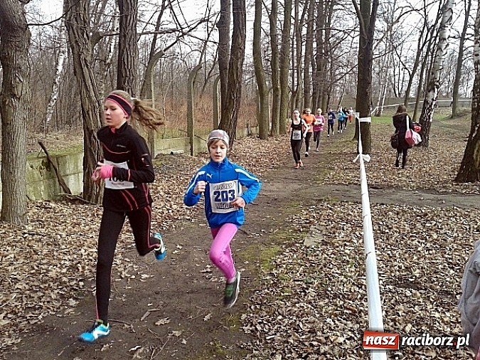 Zdjęcie w galerii na portalu naszraciborz.pl: Biegi przełajowe - nasi w czołówce wiadomości z regionu