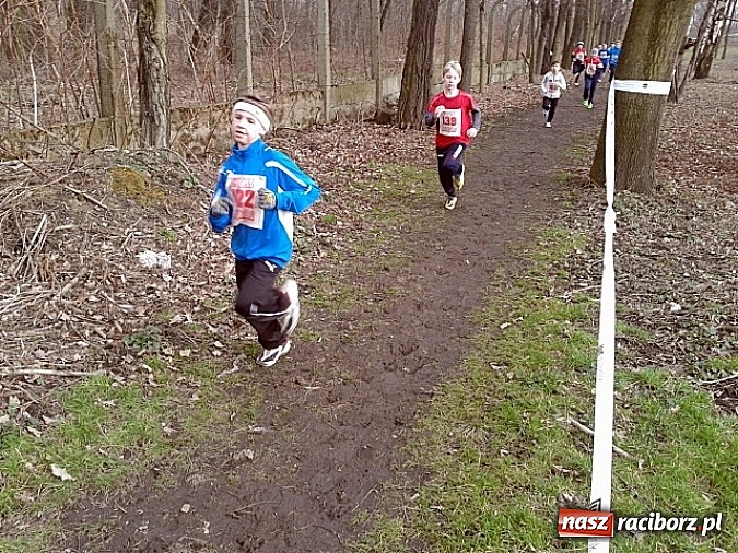 Zdjęcie w galerii na portalu naszraciborz.pl: Biegi przełajowe - nasi w czołówce wiadomości z regionu