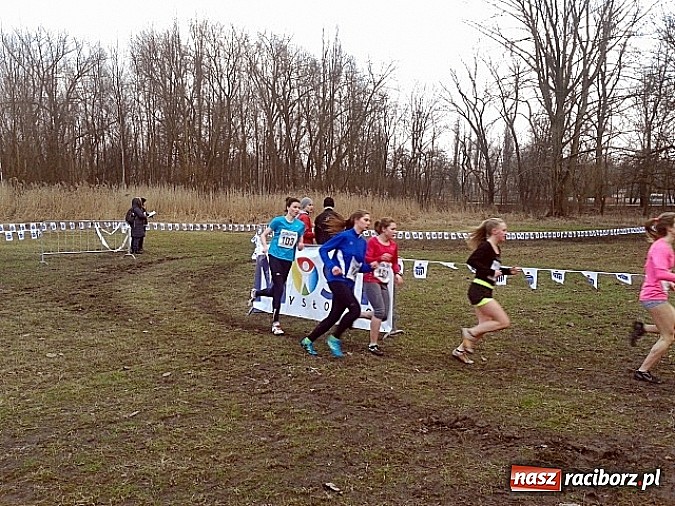Zdjęcie w galerii na portalu naszraciborz.pl: Biegi przełajowe - nasi w czołówce wiadomości z regionu