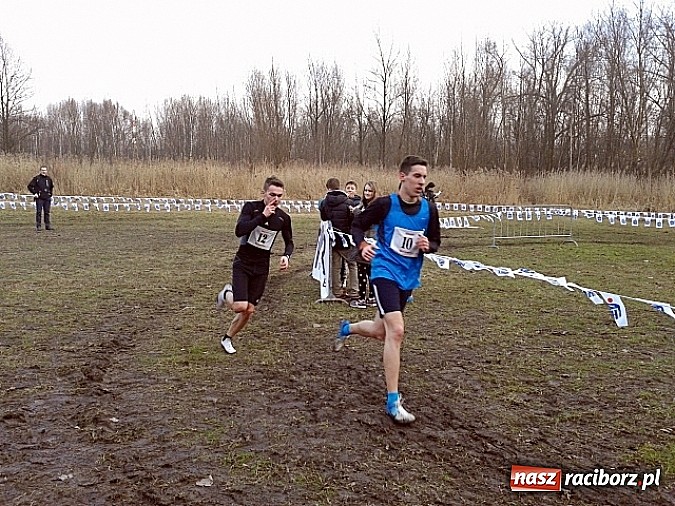 Zdjęcie w galerii na portalu naszraciborz.pl: Biegi przełajowe - nasi w czołówce wiadomości z regionu