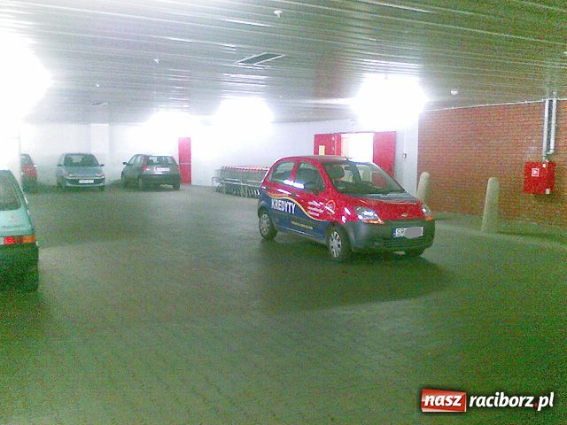 Zdjęcie w galerii na portalu naszraciborz.pl: KWIATKI z raciborskich parkingów wiadomości z regionu