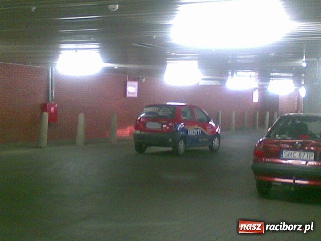 Zdjęcie w galerii na portalu naszraciborz.pl: KWIATKI z raciborskich parkingów wiadomości z regionu