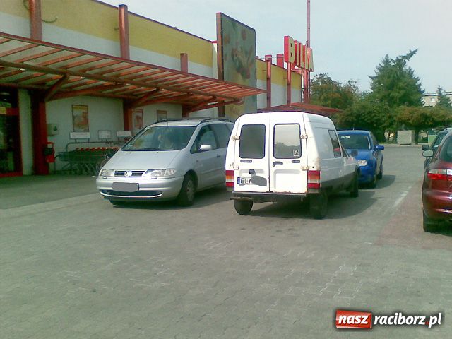 Zdjęcie w galerii na portalu naszraciborz.pl: KWIATKI z raciborskich parkingów wiadomości z regionu