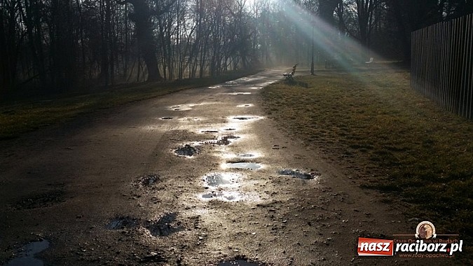 Zdjęcie w galerii na portalu naszraciborz.pl: Nowy trakt spacerowy przy starym opactwie w Rudach  wiadomości z regionu