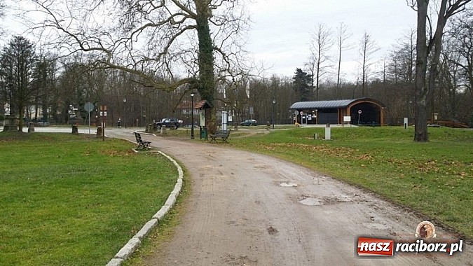 Zdjęcie w galerii na portalu naszraciborz.pl: Nowy trakt spacerowy przy starym opactwie w Rudach  wiadomości z regionu
