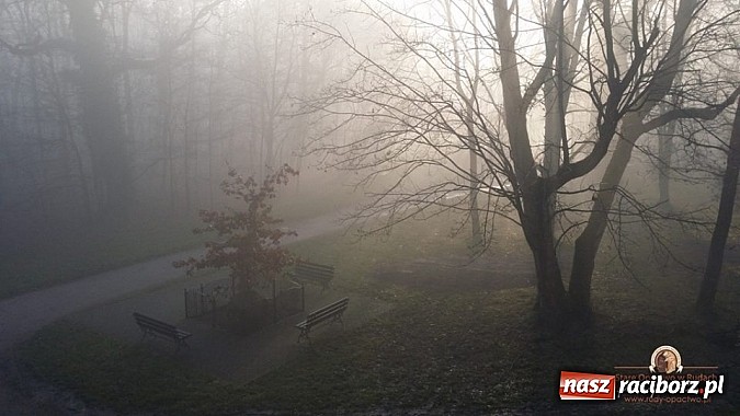 Zdjęcie w galerii na portalu naszraciborz.pl: Nowy trakt spacerowy przy starym opactwie w Rudach  wiadomości z regionu