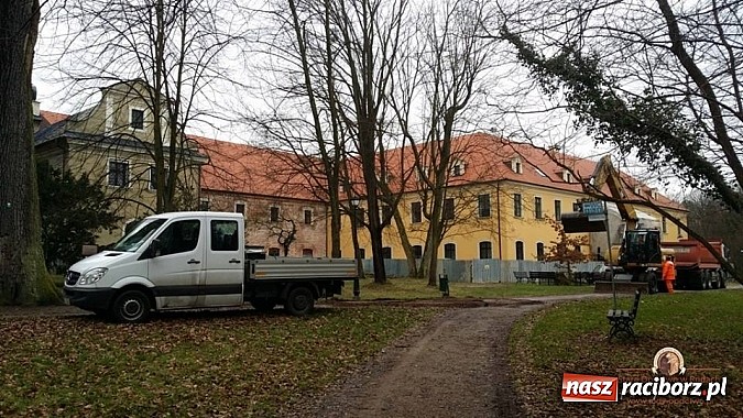 Zdjęcie w galerii na portalu naszraciborz.pl: Nowy trakt spacerowy przy starym opactwie w Rudach  wiadomości z regionu