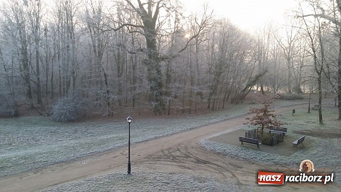 Zdjęcie w galerii na portalu naszraciborz.pl: Nowy trakt spacerowy przy starym opactwie w Rudach  wiadomości z regionu