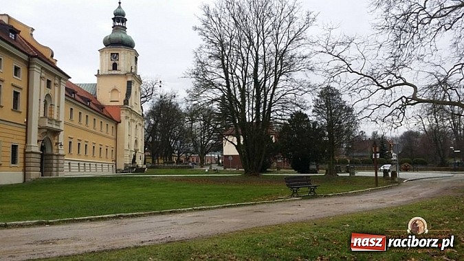 Zdjęcie w galerii na portalu naszraciborz.pl: Nowy trakt spacerowy przy starym opactwie w Rudach  wiadomości z regionu