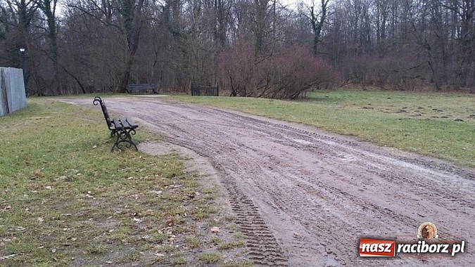 Zdjęcie w galerii na portalu naszraciborz.pl: Nowy trakt spacerowy przy starym opactwie w Rudach  wiadomości z regionu