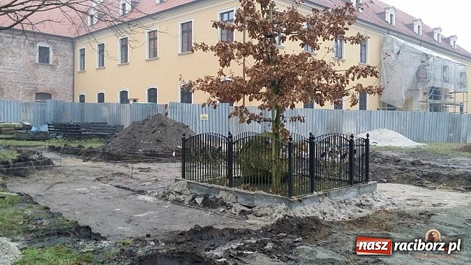 Zdjęcie w galerii na portalu naszraciborz.pl: Nowy trakt spacerowy przy starym opactwie w Rudach  wiadomości z regionu