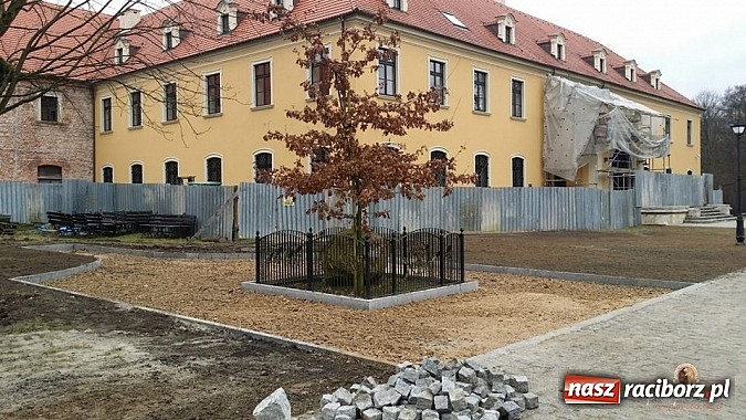 Zdjęcie w galerii na portalu naszraciborz.pl: Nowy trakt spacerowy przy starym opactwie w Rudach  wiadomości z regionu