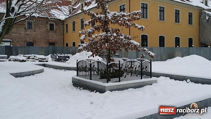 Zdjęcie w galerii na portalu naszraciborz.pl: Nowy trakt spacerowy przy starym opactwie w Rudach  wiadomości z regionu