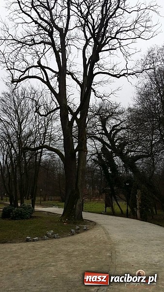 Zdjęcie w galerii na portalu naszraciborz.pl: Nowy trakt spacerowy przy starym opactwie w Rudach  wiadomości z regionu