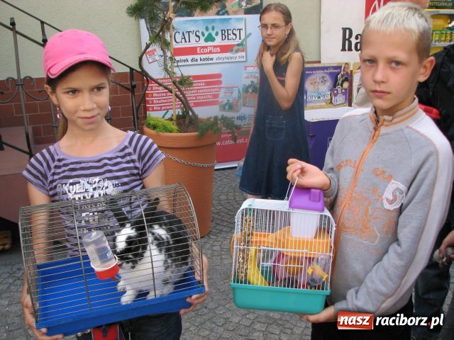 Zdjęcie w galerii na portalu naszraciborz.pl: Gryzonie ścigały się o puchar wiadomości z regionu