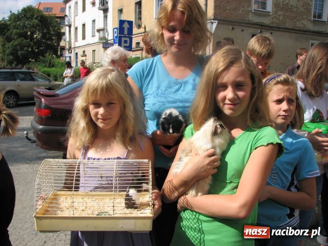 Zdjęcie w galerii na portalu naszraciborz.pl: Gryzonie ścigały się o puchar wiadomości z regionu