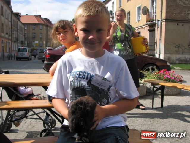 Zdjęcie w galerii na portalu naszraciborz.pl: Gryzonie ścigały się o puchar wiadomości z regionu