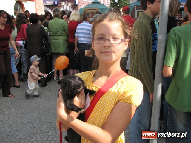 Zdjęcie w galerii na portalu naszraciborz.pl: Gryzonie ścigały się o puchar wiadomości z regionu