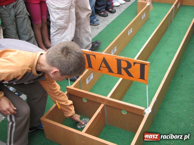 Zdjęcie w galerii na portalu naszraciborz.pl: Gryzonie ścigały się o puchar wiadomości z regionu