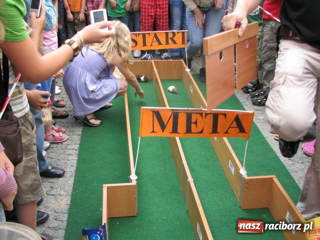 Zdjęcie w galerii na portalu naszraciborz.pl: Gryzonie ścigały się o puchar wiadomości z regionu