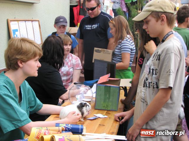 Zdjęcie w galerii na portalu naszraciborz.pl: Gryzonie ścigały się o puchar wiadomości z regionu