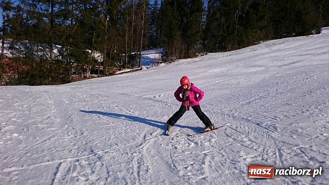 Zdjęcie w galerii na portalu naszraciborz.pl: Uczniowie z Pawłowa wyjechali na narty  wiadomości z regionu