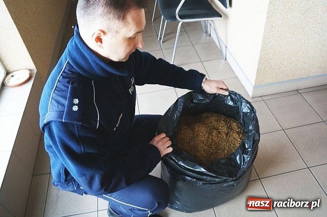 Zdjęcie w galerii na portalu naszraciborz.pl: Policjanci przejęli nielegalny tytoń  wiadomości z regionu