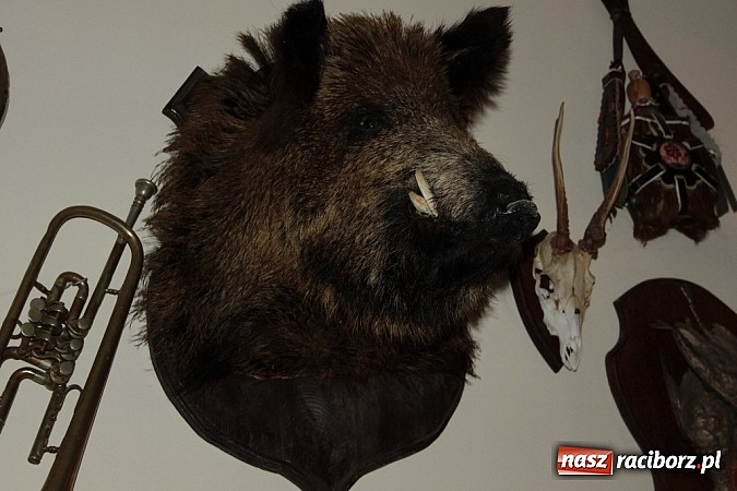 Zdjęcie w galerii na portalu naszraciborz.pl: Zamiłowanie do piękna silniejsze niż przesądy wiadomości z regionu