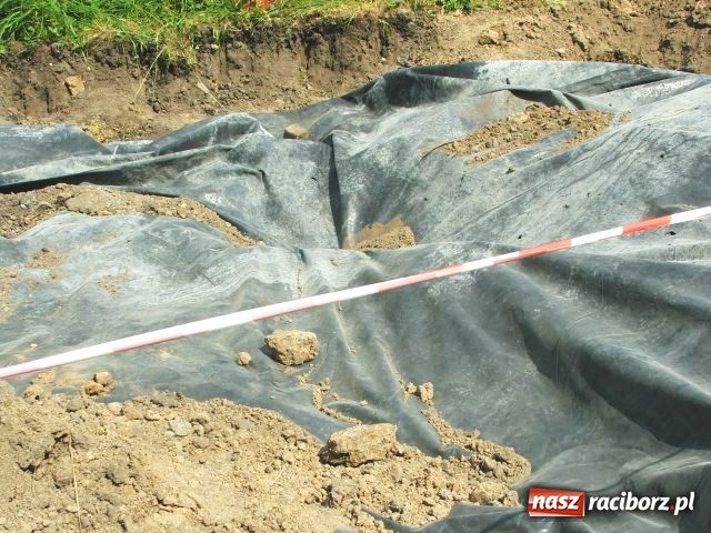 Zdjęcie w galerii na portalu naszraciborz.pl: W Brzeziu odkryto dół pełen kości wiadomości z regionu