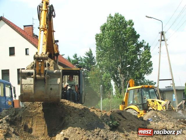 Zdjęcie w galerii na portalu naszraciborz.pl: W Brzeziu odkryto dół pełen kości wiadomości z regionu
